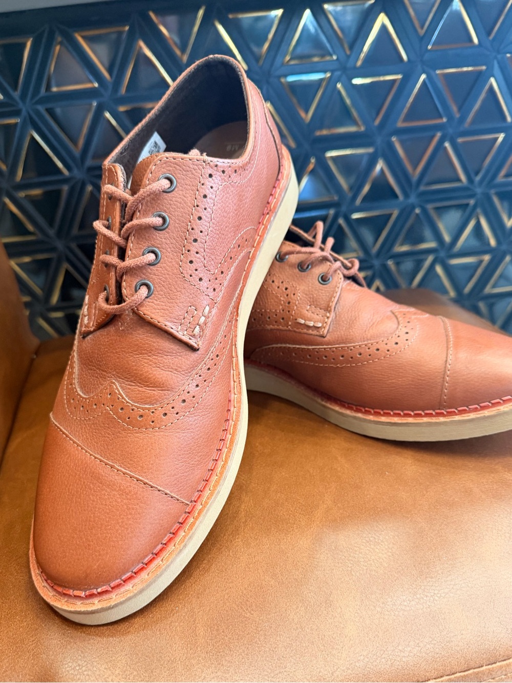 Toms Men's Wingtip Oxford in Cognac Brown
